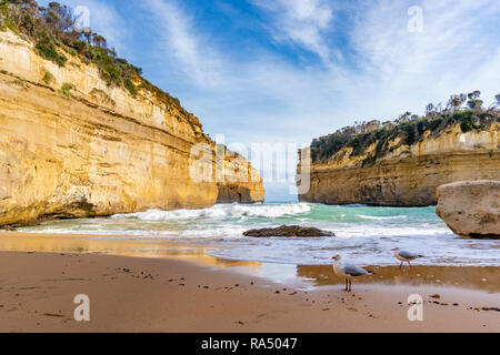 Alla Gola Loch Ard lungo la Great Ocean Road in Australia Foto Stock