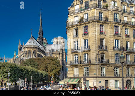 La vista in elevazione posteriore della cattedrale di Notre Dame visto dal Quai aux Fleurs,Paris , Francia Foto Stock