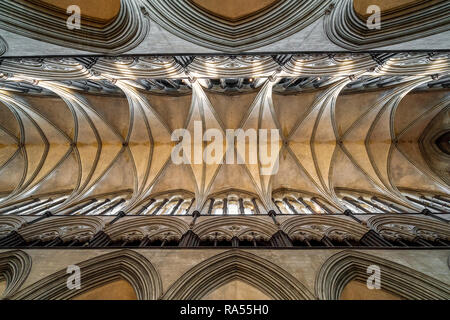 Soffitto della Cattedrale di Salisbury Foto Stock