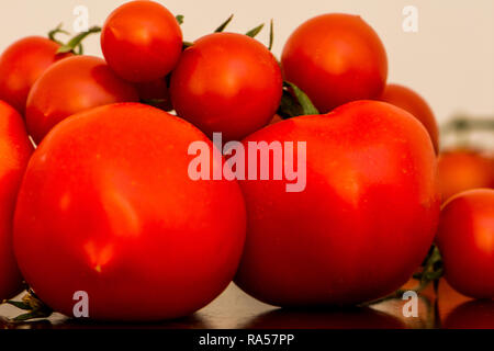 Isolato piccoli pomodori piccoli ciliegini sulla vite. Perfetti da aggiungere alle insalate fresche. Foto Stock