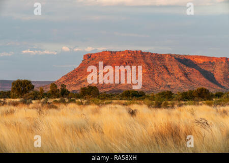 Affascinante George Gill gamma in Australia centrale. Foto Stock