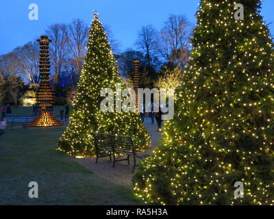 Grandi abeti e statue sono illuminate con luci fairy come parte della luce festosa sentiero attraverso il terreno a Waddesdon Manor, Natale 2018 Foto Stock