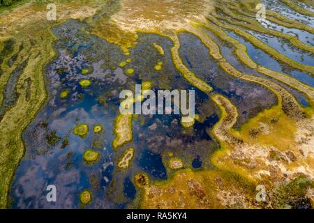 Drone shot, moor paesaggio, zona umida, strutture astratte, Junsele, Västernorrlands län, Svezia Foto Stock