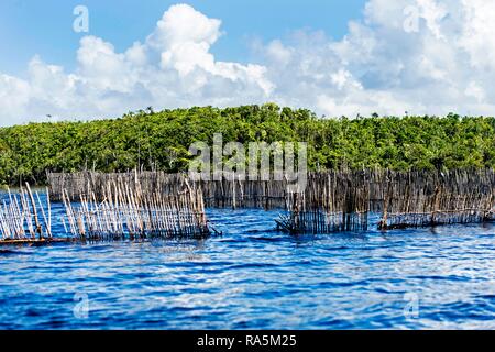 Trappole di pesce nel Canal des Pangalanes, Ankanin Ny Nofy, Madagascar Foto Stock