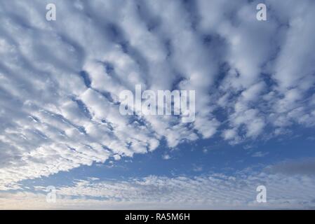 Altocumulus stratiformis undulatus perlucidus Wolken, Germania Foto Stock