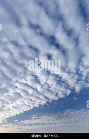 Altocumulus stratiformis undulatus perlucidus Wolken, Germania Foto Stock