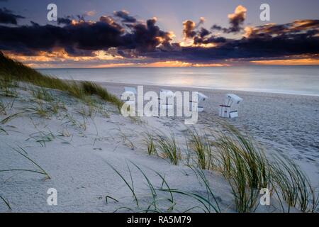 Sedie a sdraio in spiaggia occidentale di Hörnum nella luce della sera, Sylt, Nordfriesland, Schleswig-Holstein, Germania Foto Stock