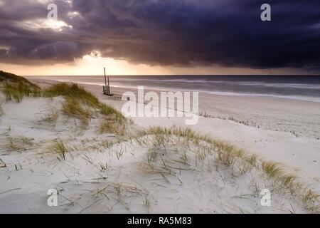 Spiaggia di Ellenbogen, la punta nord di Sylt, Nordfriesland, Schleswig-Holstein, Germania Foto Stock