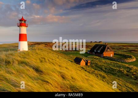 Faro List-Ost con Frisone tipiche case con il tetto di paglia, Ellenbogen, Sylt, Nordfriesland, Schleswig-Holstein, Germania Foto Stock
