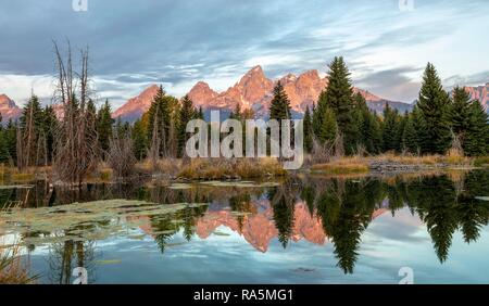 Montagne brillare rosso di sunrise, Grand Teton Range gamma di montagna con mirroring in un piccolo lago, Schwabacher sbarco Foto Stock