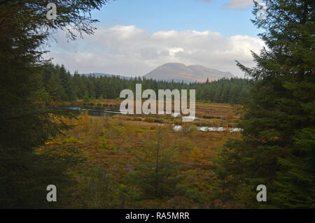 Kings Grotta passeggiata nella foresta sull isola di Arran guardando verso Beinn Bharrain e Mullach Buidhe Foto Stock