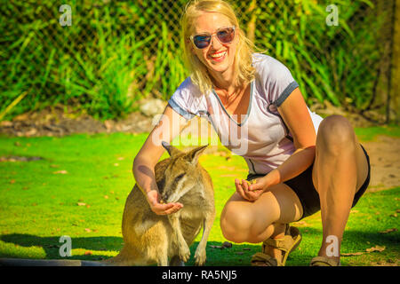 Felice bionda donna caucasica mangiare kangaroo in natura. Turista femminile gode di animali Australiani icona del paese. Whiteman, vicino a Perth in Australia Occidentale. Giornata di sole. Foto Stock