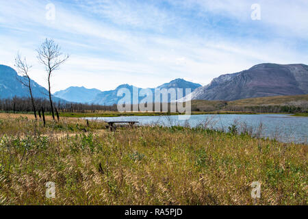 Waterton National Park, Alberta, Canada Foto Stock
