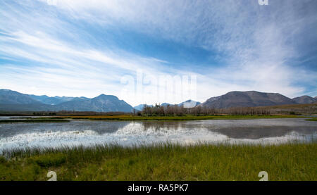 Waterton National Park, Alberta, Canada Foto Stock
