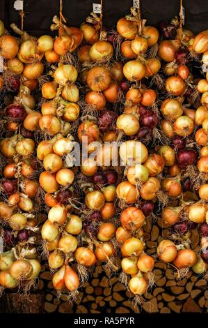 Rosso e cipolle bianche, legato a trecce trecce di cipolla, Greding, Media Franconia, Franconia, Baviera, Germania Foto Stock