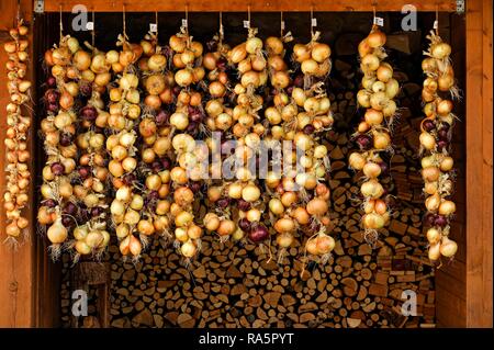 Rosso e cipolle bianche, legato a trecce trecce di cipolla in un capannone di fronte di legna da ardere, Greding, Media Franconia, Franconia, Bavaria Foto Stock