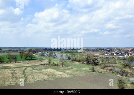 Vista aerea su 'Grady odrzanskie' - fiume Odra vicino la città di Wroclaw. Delle zone di protezione della natura "Natura 2000". Dolnoslaskie, Polonia. Foto Stock