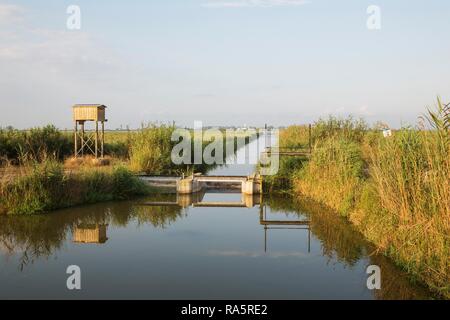 Tipico paesaggio del Delta del Ebro con canali, lock-gate, reed e campi di riso, sulla sinistra una scatola di pipistrelli, alle spalle del villaggio Foto Stock