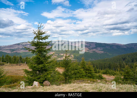 Vista dalla Wurmberg al vertice di Brocken nel Parco Nazionale di Harz Foto Stock