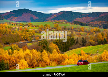 Autunno foresta nella zona di Sauerland, Renania settentrionale-Vestfalia,Germania, vicino a Schmallenberg, Foto Stock