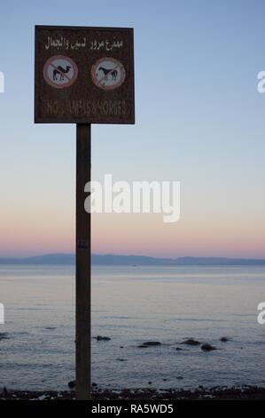 N. di cammelli e segno di cavalli sulla spiaggia a Dahab, Egitto Foto Stock