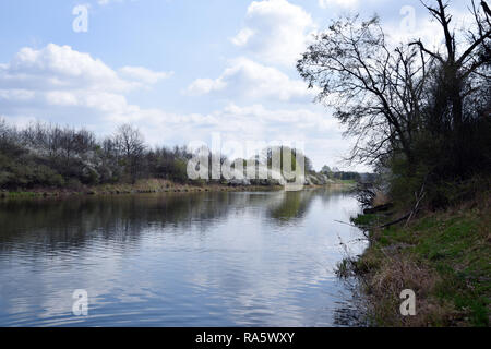 "Grady odrzanskie' - fiume Odra vicino la città di Wroclaw. Delle zone di protezione della natura "Natura 2000". Dolnoslaskie, Polonia. Foto Stock