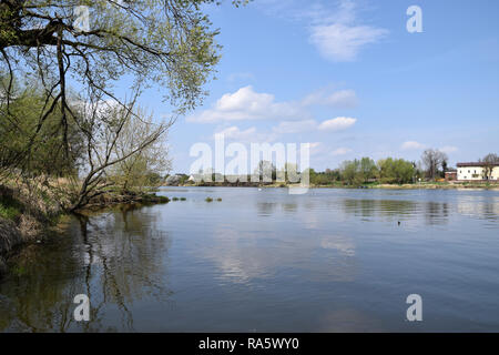 "Grady odrzanskie' - fiume Odra vicino la città di Wroclaw. Delle zone di protezione della natura "Natura 2000". Dolnoslaskie, Polonia. Foto Stock