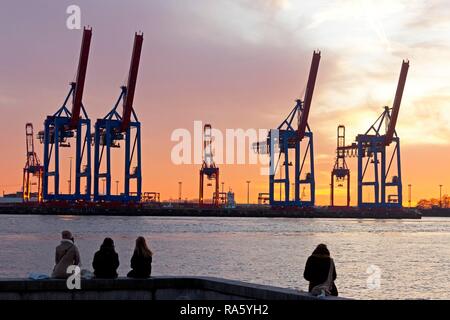 La gente seduta sulla riva di fronte Gantry cranes, Container Terminal Burchardkai, Hamburg-Port, Hamburg, Amburgo, Germania Foto Stock