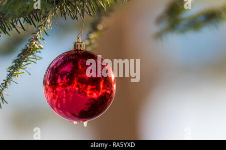 La luce del sole splende su ornamento di Natale all'esterno appeso su un albero di pino d'inverno. Foto Stock