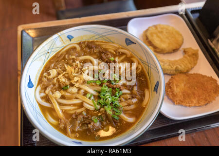 Il curry giapponese udon con carne - Immagine Foto Stock