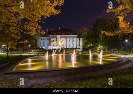 Una fontana illuminata in un parco pieno di colori autunnali sotto il cielo di notte. La Polonia, Olsztyn, parco nella città vecchia. Foto Stock