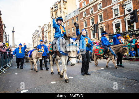 Razza di asino la società a Londra il primo giorno del nuovo anno Parade 2019 a Londra, Regno Unito Foto Stock