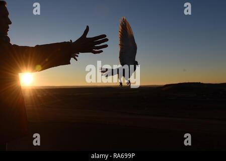 1 gennaio 2019 - AlmazÃ¡N, Soria, Spagna - Silhouette di donna visto rilasciando un piccione di homing per accogliere l'arrivo del nuovo anno al tramonto in AlmazÃ¡n, nel nord della Spagna. Credito: John Milner/SOPA Immagini/ZUMA filo/Alamy Live News Foto Stock