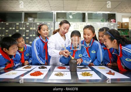 (190102) -- PECHINO, gen. 2, 2019 (Xinhua) -- Gli studenti esperienze di macinazione a base di erbe Cinesi medicina presso Neiqiu ospedale di medicina tradizionale cinese in Neiqiu County, a nord della Cina di nella provincia di Hebei, Ottobre 21, 2018. Della Cina di primarie e le scuole medie sono stati invitati a migliorare l'istruzione per tutto lo sviluppo dello studente, secondo una direttiva emessa dalle autorità. Organizzato congiuntamente dal Ministero della Pubblica Istruzione e altre otto agenzie, la circolare ha chiesto alle scuole di offrire corsi che sono in sintonia con il programma nazionale in termini di quantità e di qualità. La valorizzazione del corso Foto Stock