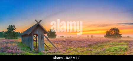 Apiario, Lunenburg Heath, Undeloh, Bassa Sassonia, Germania Foto Stock