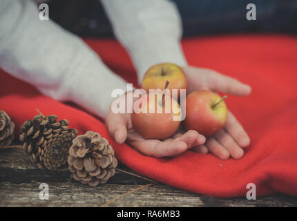 Bambino giovane ragazza pinky mani tenendo il giallo e il rosso sugoso fresche Mele su red plaid wrap vicino a strobiles in autunno la molla umore appetito ancora vita Foto Stock