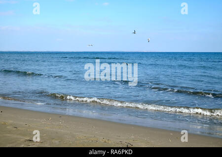 Paesaggio con il mare e la skyline con alcuni gabbiani battenti abode onde nel cielo azzurro e la linea di costa sull orizzonte lontano il giorno Foto Stock