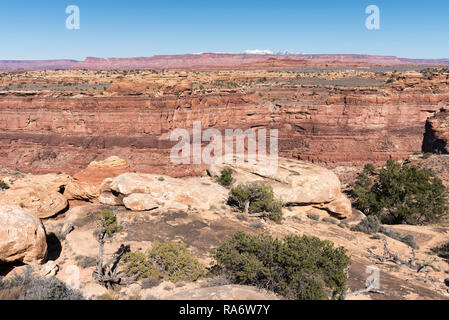 Il Parco Nazionale di Canyonlands situato nell isola di Sky quartiere di South Central Utah. Il Green River e il fiume Colorado si fondono insieme. Foto Stock