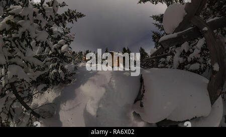 Panorama casa chalet durante una nevicata nel gli alberi della foresta di inverno di notte al chiaro di luna Foto Stock