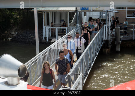 Mattina pendolari di salire a bordo del CityFerry a Thornton Street, Brisbane, Queensland, Australia Foto Stock