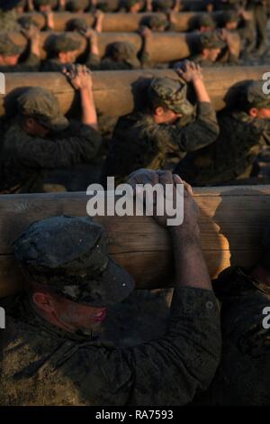 Stati Uniti Navy SEAL team candidati sollevare un log durante il Basic subacquea guarnizione di demolizione di formazione presso il Navy Special Warfare Center Aprile 9, 2018 in Coronado, California. Le guarnizioni sono la componente marittima degli Stati Uniti Le forze speciali e sono addestrati per condurre una serie di operazioni dal mare, l aria e la terra. Foto Stock