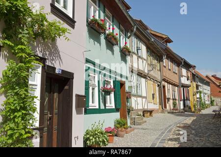 Tipiche case a graticcio, Schlossberg o castle hill, Quedlinburg, Sassonia-Anhalt, Germania Foto Stock