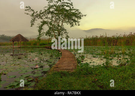 Ponte di legno sopra il laghetto di loto con sunrise e sfondo di montagna Foto Stock