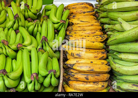 Diversi tipi di banane in vendita in un mercato di Brixton, Londra Foto Stock