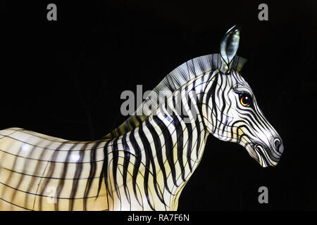 Lanterna cinese animali nel primo Festival della luce a Parigi - Le Jardin des Plantes - Parigi - Francia Foto Stock