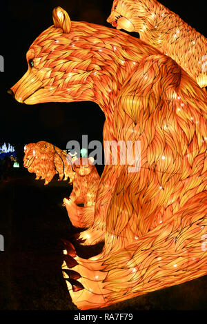 Lanterna cinese animali nel primo Festival della luce a Parigi - Le Jardin des Plantes - Parigi - Francia Foto Stock