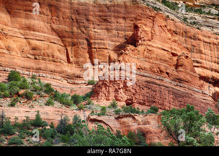 Il red rock formazioni in Sedona in Arizona, Stati Uniti d'America Foto Stock
