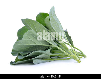 Broccoli cinesi isolati su sfondo bianco Foto Stock