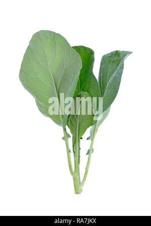 Broccoli cinesi isolati su sfondo bianco Foto Stock