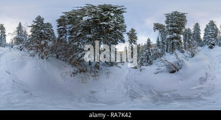 Visualizzazione panoramica a 360 gradi di Inverno bosco di abeti in montagna al crepuscolo al tramonto a blue ora. Forma sferica 360vr panorama.